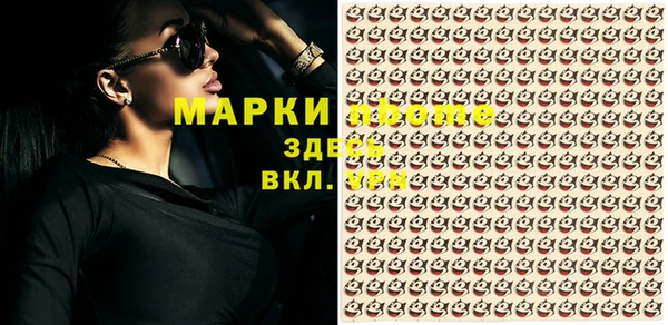 хмурый Абаза