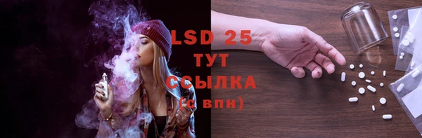 хмурый Абаза