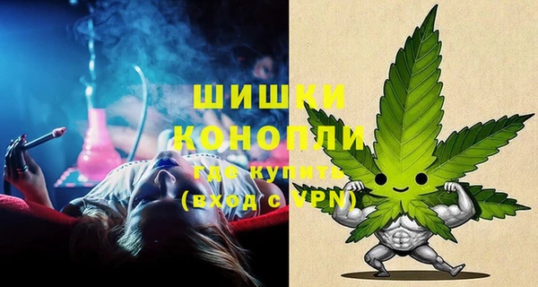 хмурый Абаза