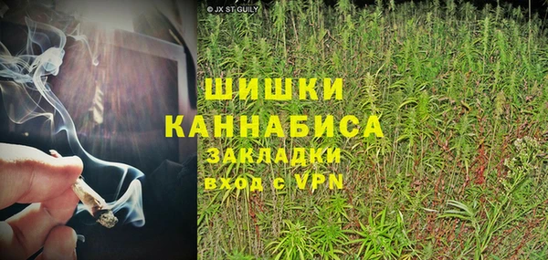 хмурый Абаза