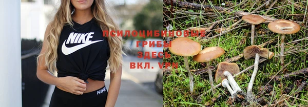 mix Абинск