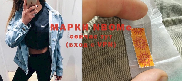 хмурый Абаза