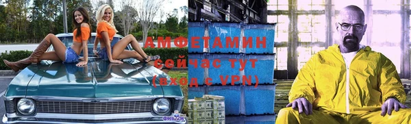 хмурый Абаза