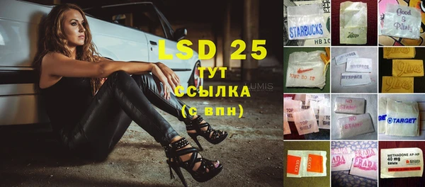 хмурый Абаза