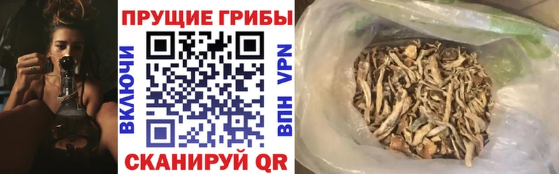 Галлюциногенные грибы GOLDEN TEACHER  наркошоп  Казань 